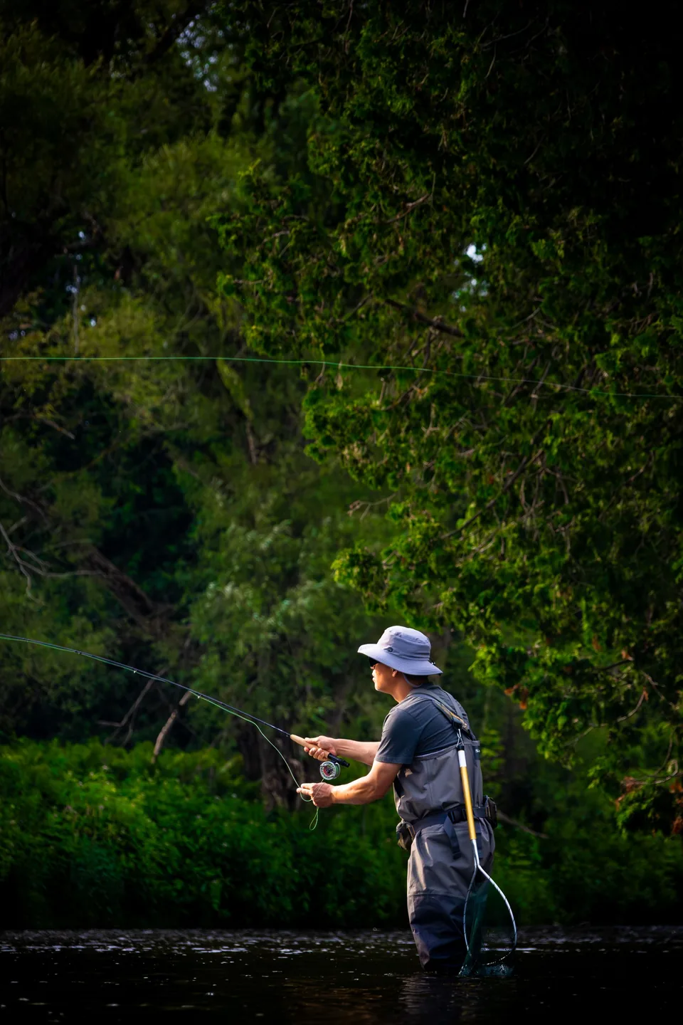 A fly angler casts across a river at the end of the day